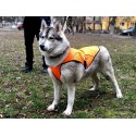 Накидка (попона) для собак велика (1026) оранжева